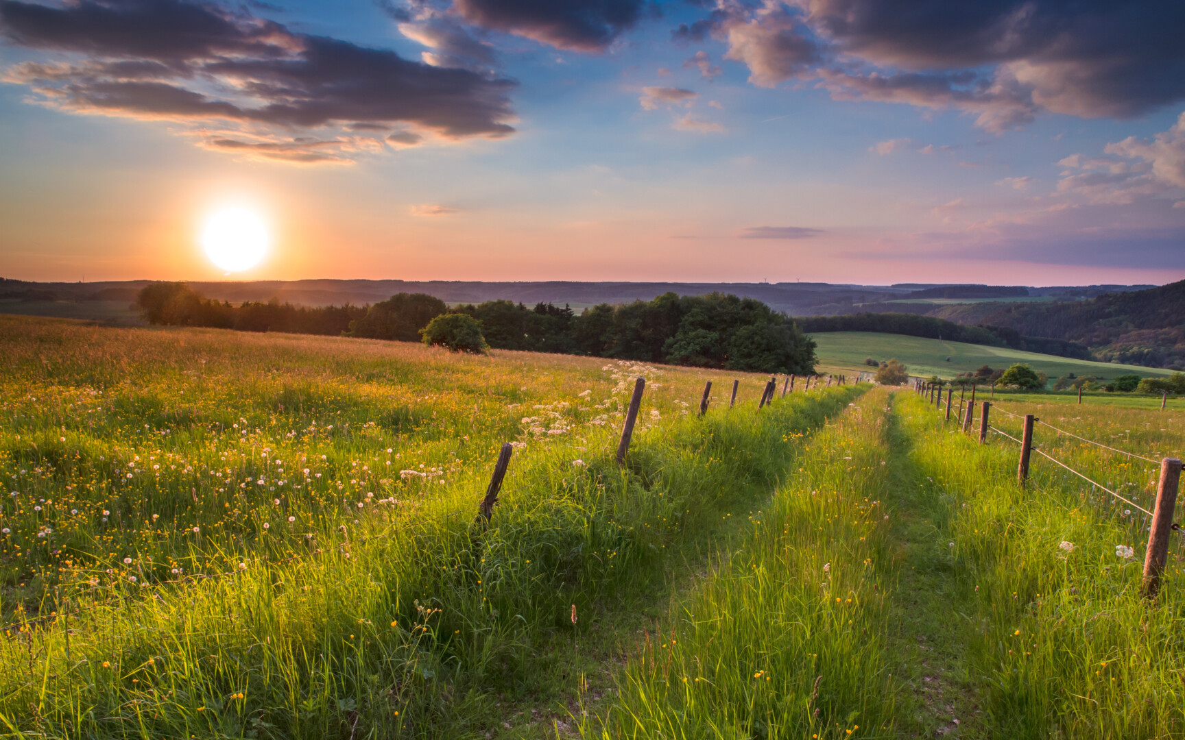 Trail is vanishing to a point on the horizon in german countryside with hills